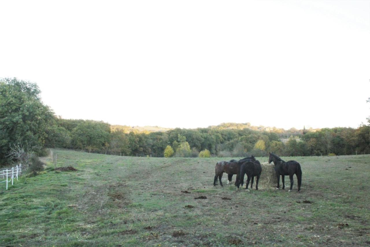 לינה וארוחת בוקר Lautrec Domaine De La Couderquie מראה חיצוני תמונה