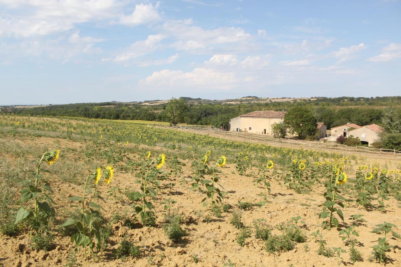 לינה וארוחת בוקר Lautrec Domaine De La Couderquie מראה חיצוני תמונה