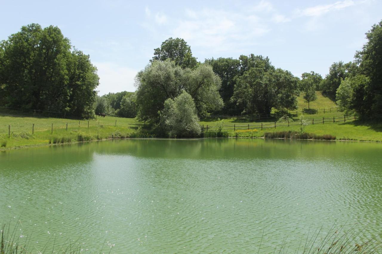 לינה וארוחת בוקר Lautrec Domaine De La Couderquie מראה חיצוני תמונה